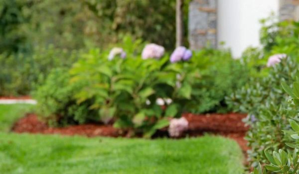 Landscaping Services - hero