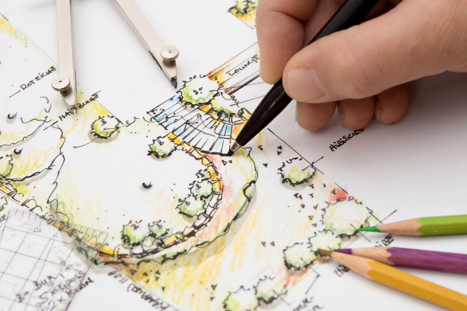 hand drawn landscape plan