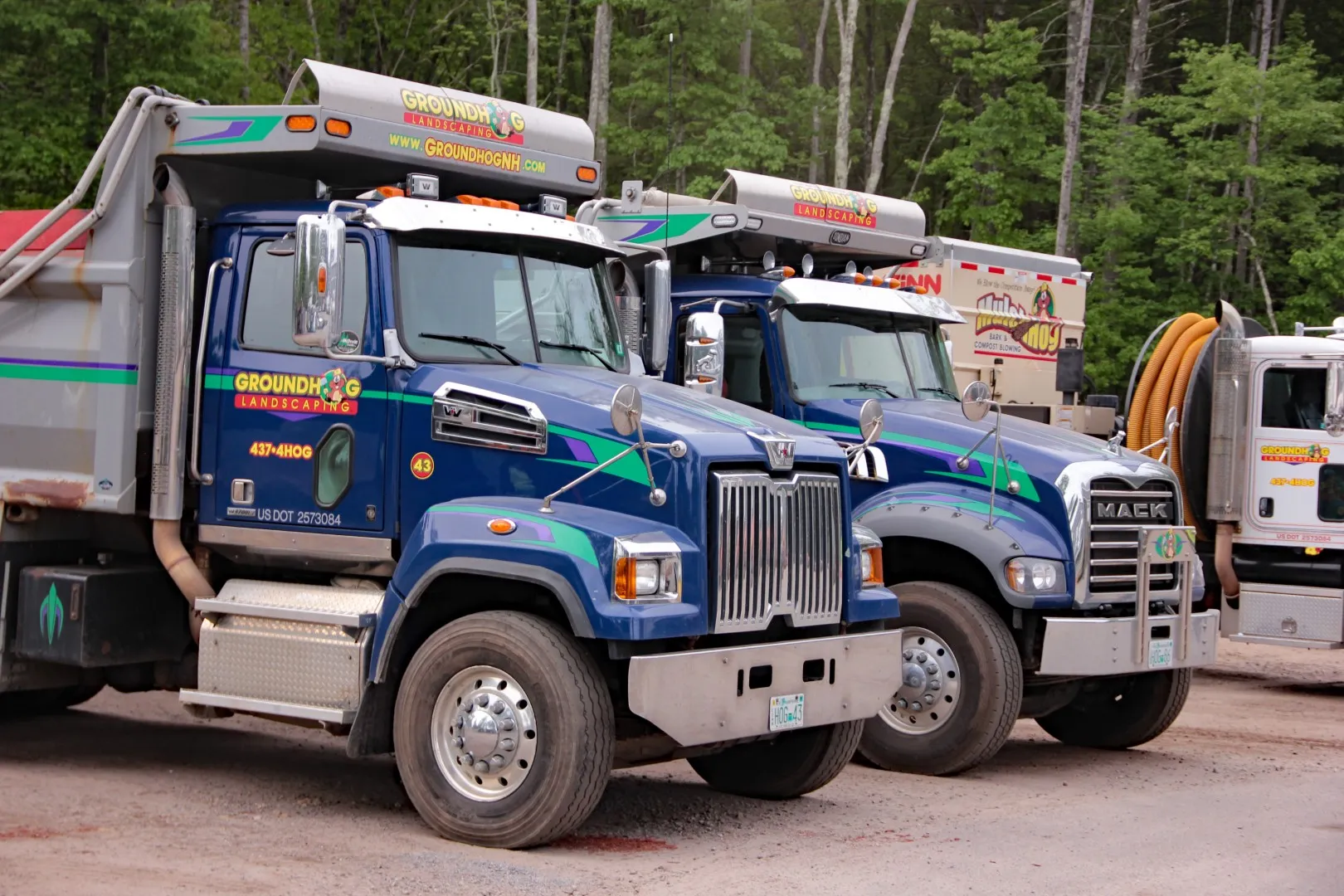 Groundhog Trucks